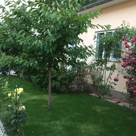 Terrasse Mit Parking In Zentrum Apartman Baden