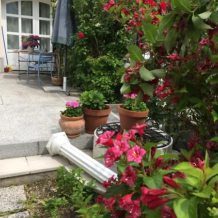 Апартаменты Terrasse Wohnungen Mit Parking In Zentrum Баден